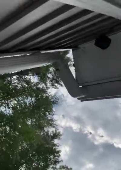 WCGW getting close to the bee.