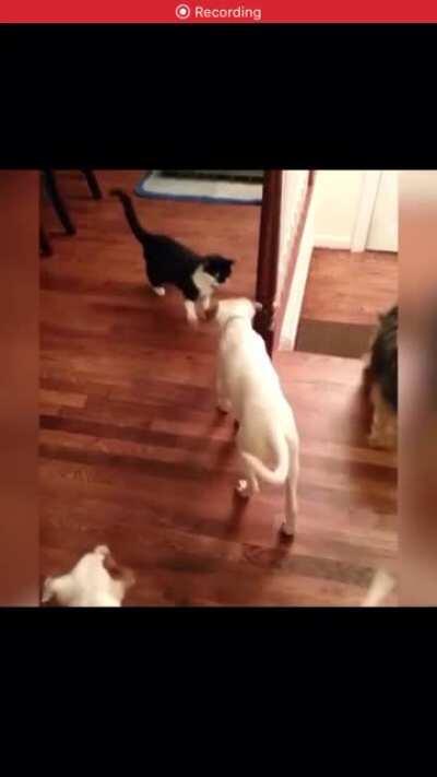 You spin me right round!