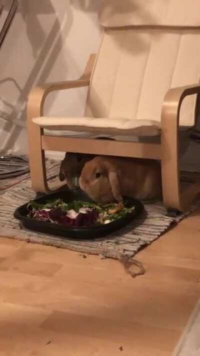 Poor kimchi doesn’t have teeth and can’t chew very fast, but miso doesn’t care!