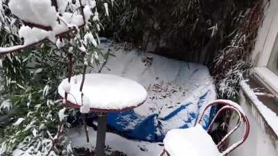 A happy boy playing in snow for the first time!