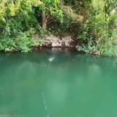 What In the KRAKEN IS THAT.