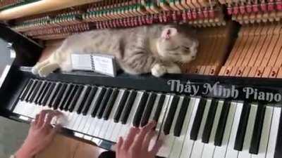 Tom retired from jerry.