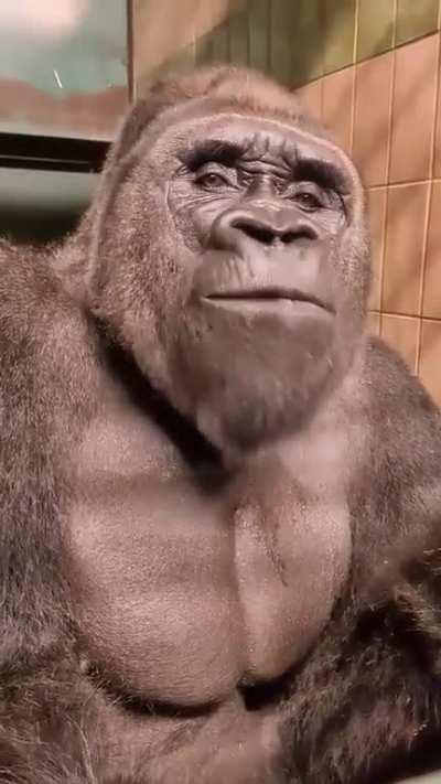 do you agree with him