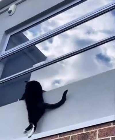 Special Ninja Detective on duty!