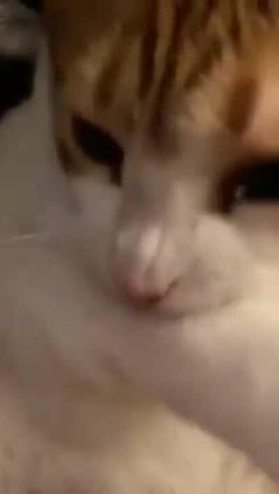 Not sure if this was posted yet.