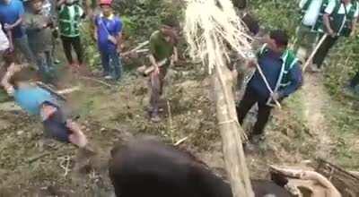 Getting yeeted by the face by an absolute unit.