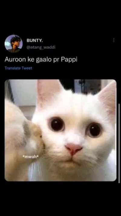 Cats are adorable , and this made is more.