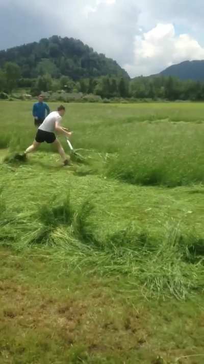 Cutting grass with a scythe