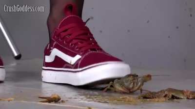 As I Promised, Milena Sneakers Crush Goddess - Bug Crushed