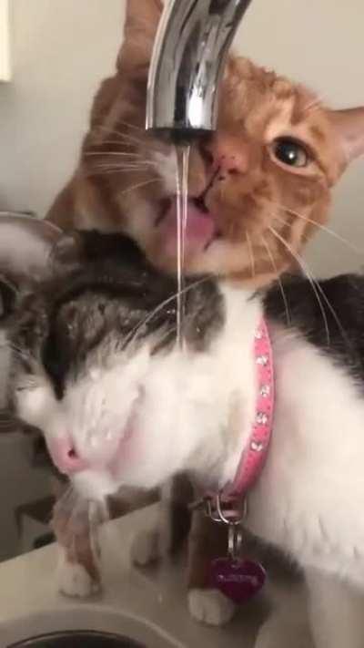 Double tap to proceed