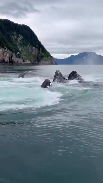 What would you do if you were in this situation 😳