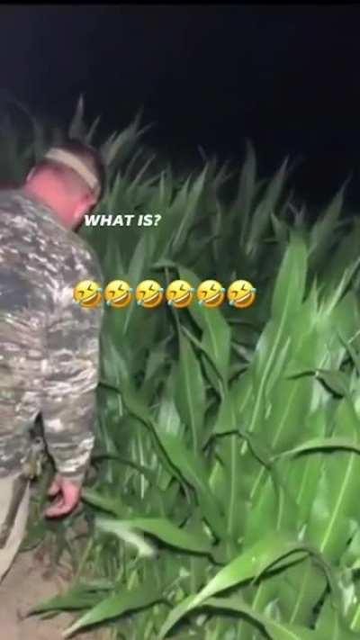 Small dong energy 👍