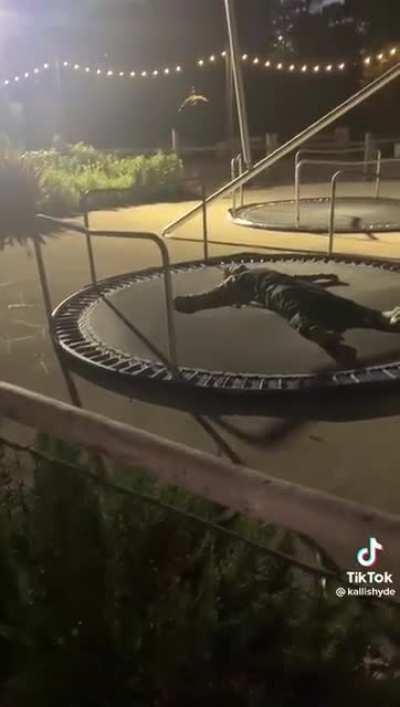 Not checking if the trampoline is the right way up