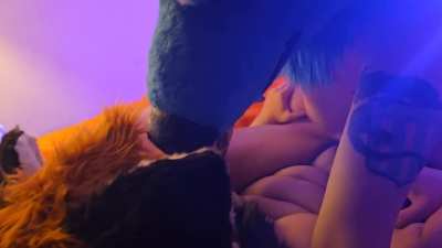  Pollinating this sweet panda-bee's flower 👀 Watch the full breeding video on my OF for just a $7 subscription, no PPV inside :3