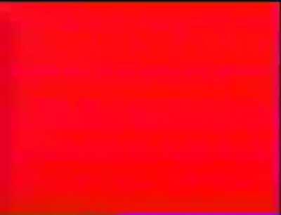 Advinha quem é chat