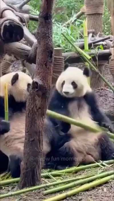 Therefore threatened with extinction