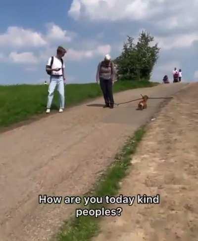 he stick too big for he gotdamn mouth