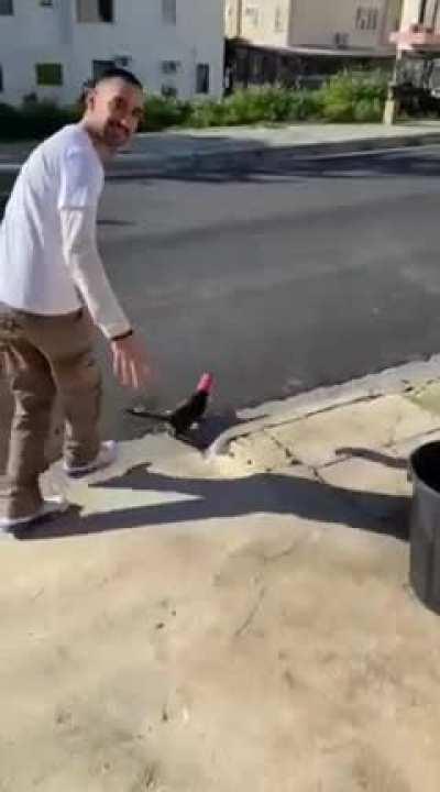 Nooooooo.hahahahah .yessss