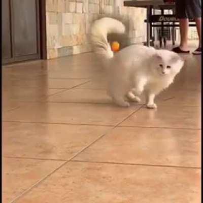 I got it! Oh... Now got it!