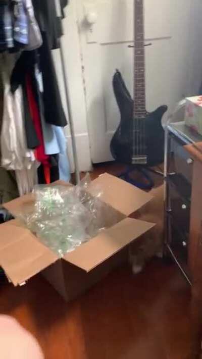 Box flap inspector only works solo