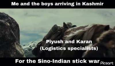 Lord of the Rings: Fellowship of the Sticks