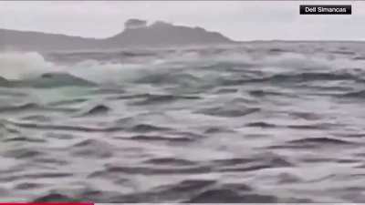 🔥A Humpback whale swallows a 24 yr old kayaker off the Strait of Magellen in Chile - then spits him out