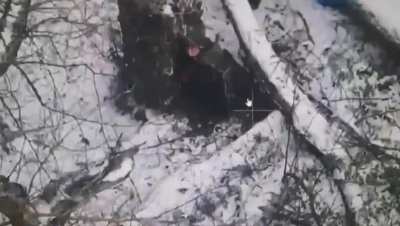 More visual evidence of North Korean soldiers at the front in the Kursk Oblast (Russia). December 2024