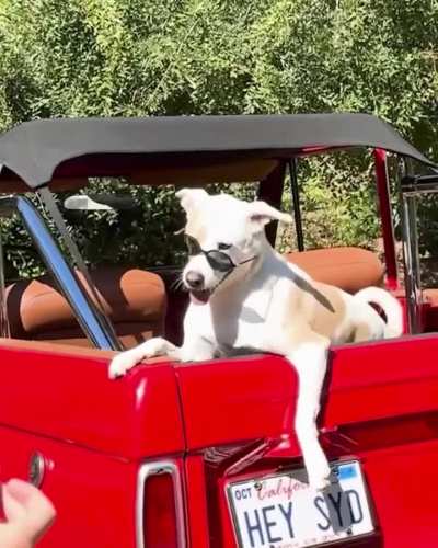 Vogue photoshoot BTS with Tank 8/14/2024