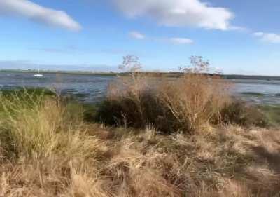 I’m soo into flashing lately, whenever I see a guy I just want to show these off 🙈