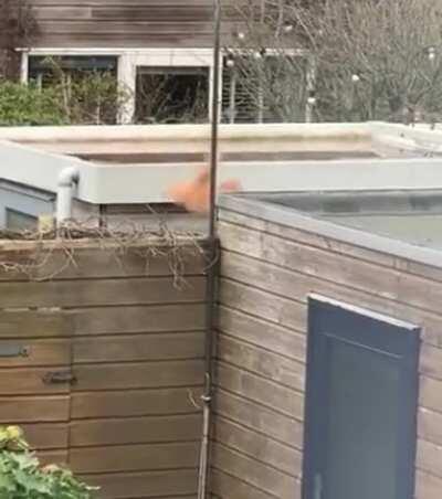 Overestimated his abilities