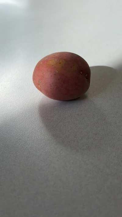 I captured my potato in time-lapse because seven people were uninterested in seeing it happen.