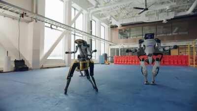 I don't know what I'm doing with my life