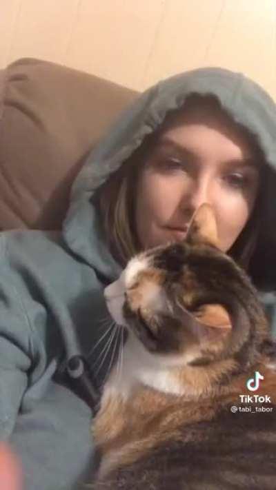 Meow meow [Credit: @tabi_tabor on TikTok]