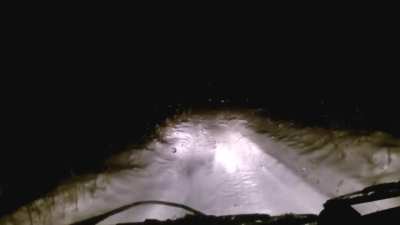 A strange bipedal creature was caught running in front of a car in Russia