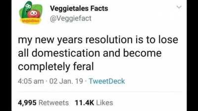 Thank you veggie tales 😔🤤🥒