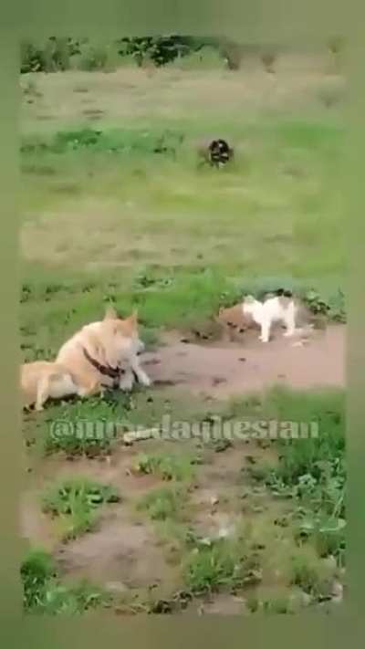 Группой лиц по предв<wbr>арите<wbr>льном<wbr>у сгово<wbr>ру.