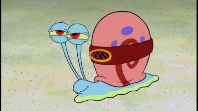 New Spongebob episodes are kinda wild