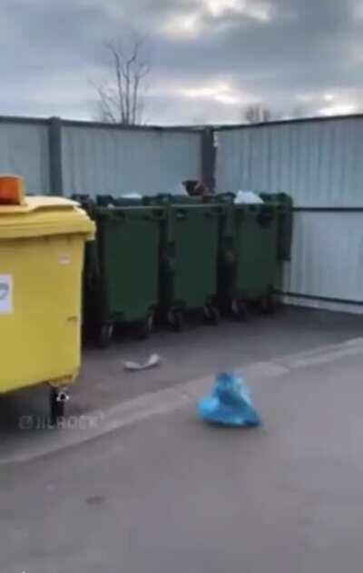 When the enemy 0/6 ADC solos you