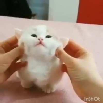 Luangameplay666 - Video #9655