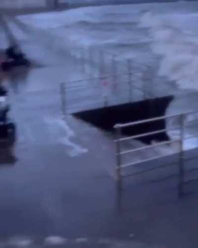 The death of Mobility Mary