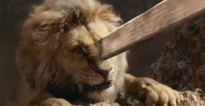 Ensuring Childhood Trauma