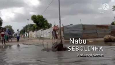 Apresentando a vocês, a moderação do mufinha?.. me desculpe pela edição porca 🥵🤙