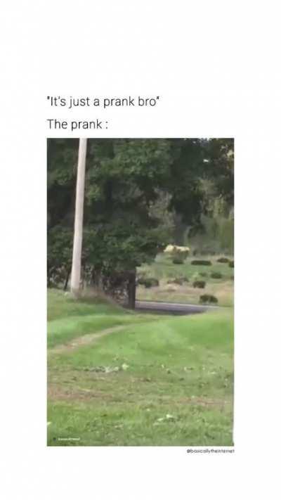 it's just a prank broh