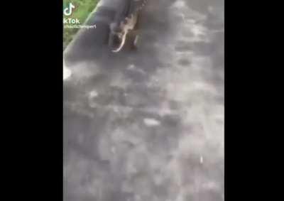 anyways im falling on drugs world