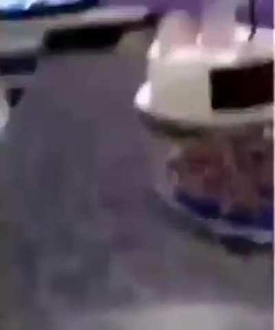 Yullalol - Video #7330