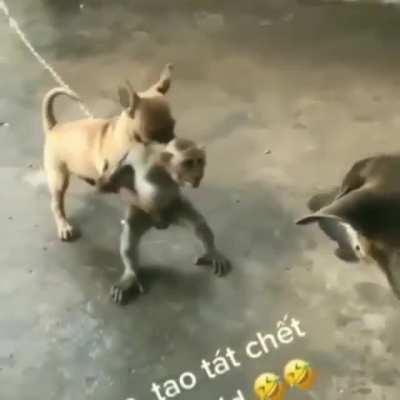 Держите меня, а то я его на хрен порву на кусочки!