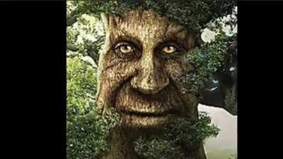 Big crash 0 survivors