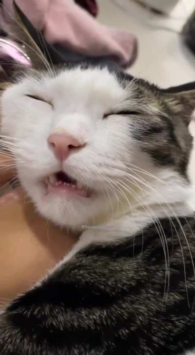 Someone is having a sweet dream