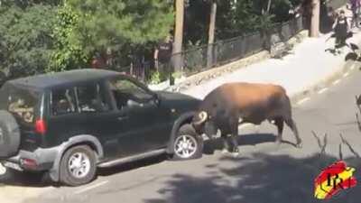 he is not a fan of cars