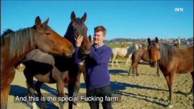 Who wants to live here with me?